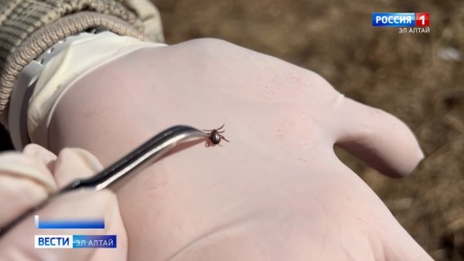 ����� ����������. ������ �������� ��������������� 13 �����: � ����������� ������ ��������� ������� ������ ����� �� ���������� ������ �������