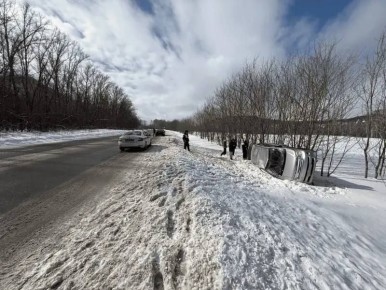 В Майминском районе иномарка опрокинулась в кювет: пострадали двое пассажиров