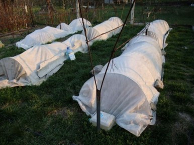 ����� ����� ��������� �������� ������: ������ � ������������