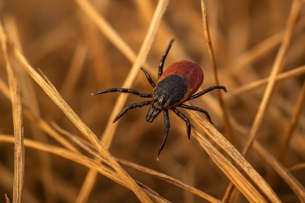 ����� ����������! � ���������� ����� ���������������� ������ �����