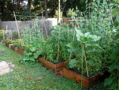 ����������� ������ ������ ��� ������������� ������ �������