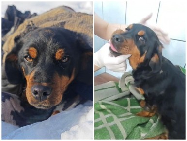 ������ ������ ����� ��� 4-5 �� �� �����������, �����-�������