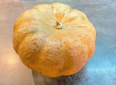 ������ �������� �� ����� � �������: ����� ������ ������� ������