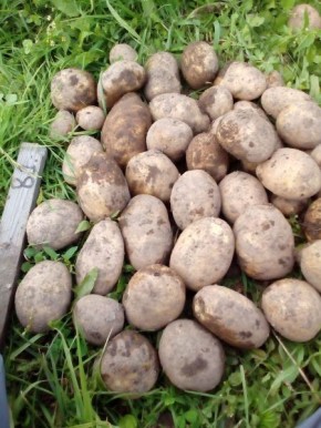 ��������� ������: ��������� ����� ��� ������� ������ � ��������� ��������� ����������