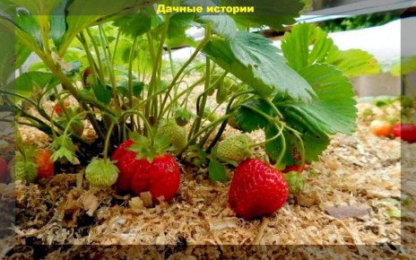 �������� � �������������: ������� ��������� ������ ��� ����