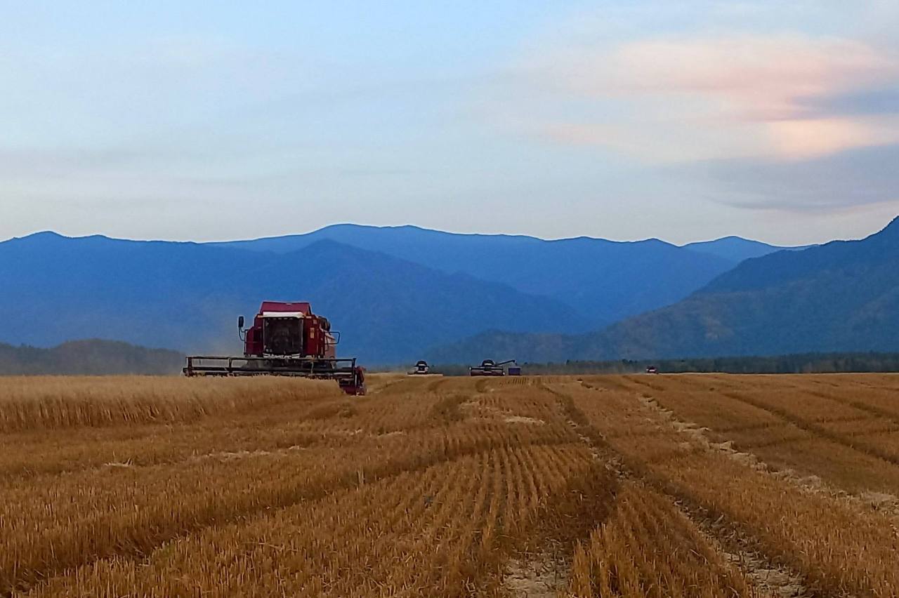 Андрей Турчак: Республика Алтай в этом году впервые участвует в гранте «Агромотиватор»