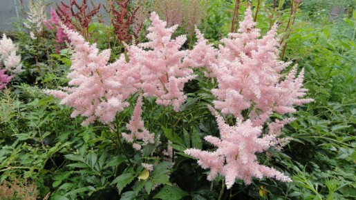 ��� ������� � �������� � ����� �������: ������ ��� ���������