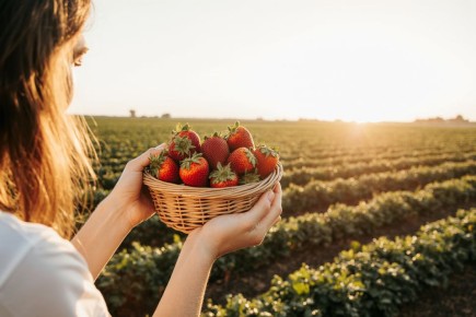 ����������� ������ �� ����������� �������� ��� �������� ������