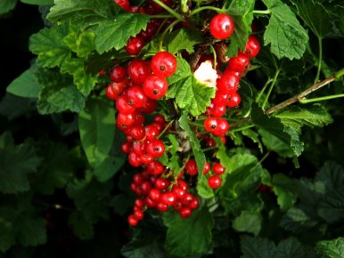 ���� � ����: ������� ����� �� ���������� � ���� ������� ������