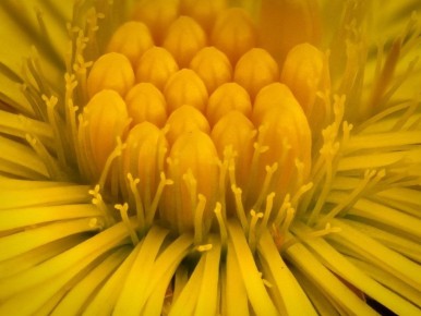 ���������� ��������� ��-��� ����� � ��������� �����������