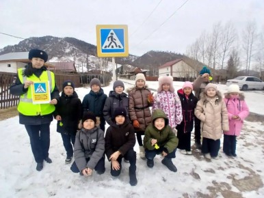 Профилактическая акция «Дети, пешеходы» прошла в Еловской школе