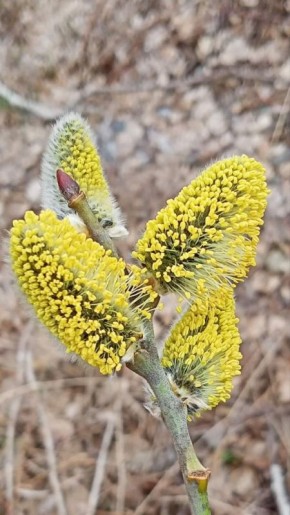 #���������������. ��� �������� ����� � ��� ���� ���������� �����