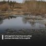 Суд обязал арендатора земли компенсировать вред, причиненный почвам в водоохранной зоне реки Катунь