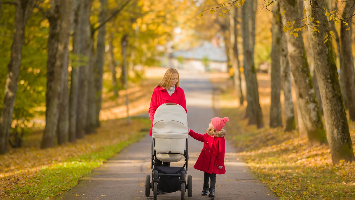 Многодетным семьям предложат использовать маткапитал для покупки автомобиля