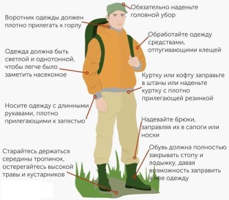 �� ������ ������ � ������� ������ � ���������� ����� ���������� ��� 6 �������: 3 (������� ������) � ����������� ������, 2 � � ����-�������, 1 � � ����������