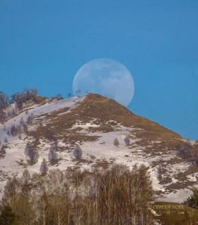 ���� ����������!. ����: ������ ����