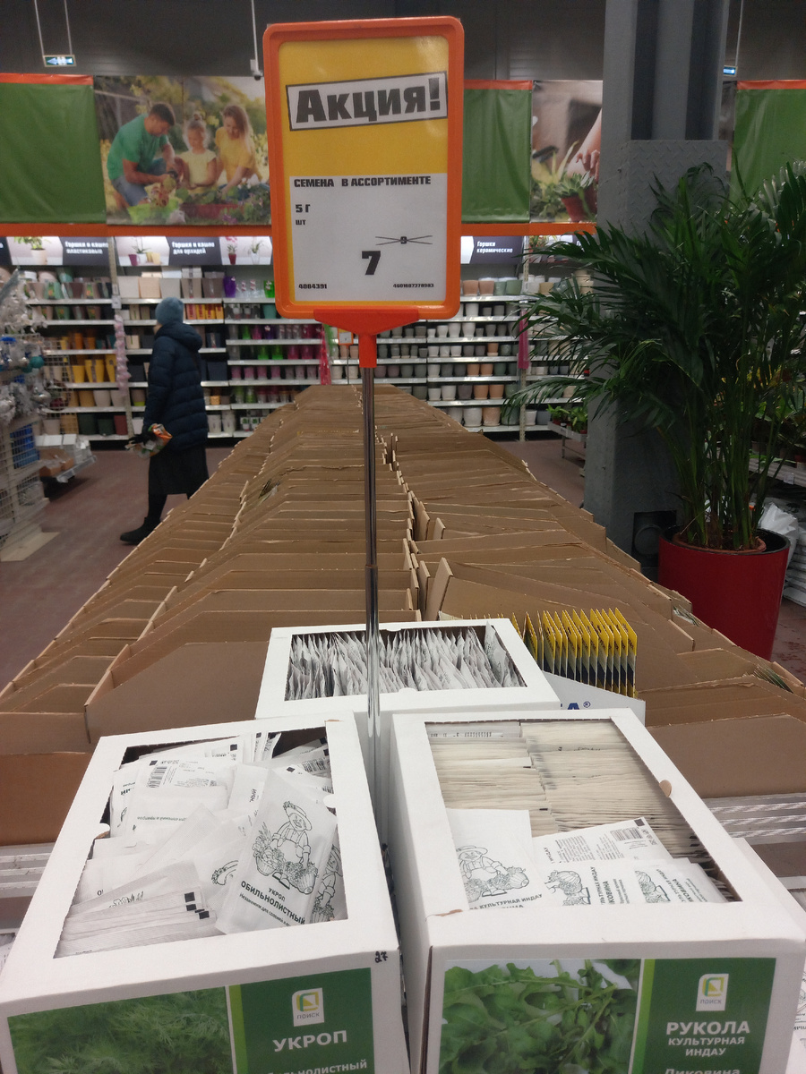 Что выбрать: семена или готовая рассада для вашего огорода?