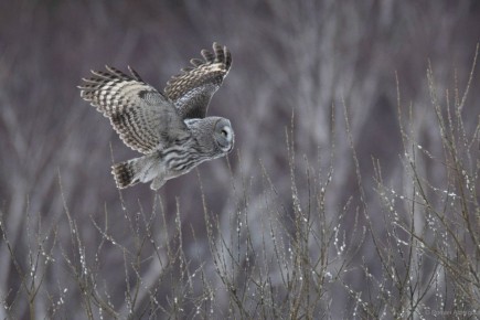 �������� � ��������� ������