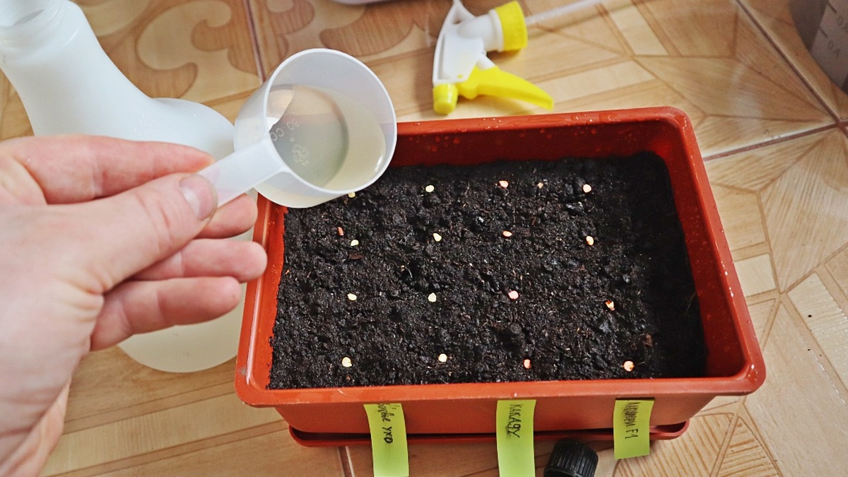 Секреты успешной посадки перца в феврале: подробный гид для огородников