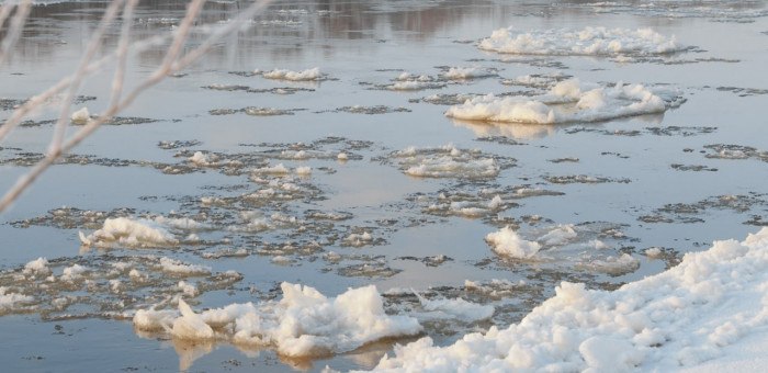 Ближайшие дни будут очень теплыми в Республике Алтай: до +17°C днем в воскресенье