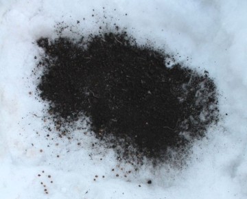 Удобрения на снег: стоит ли рисковать?