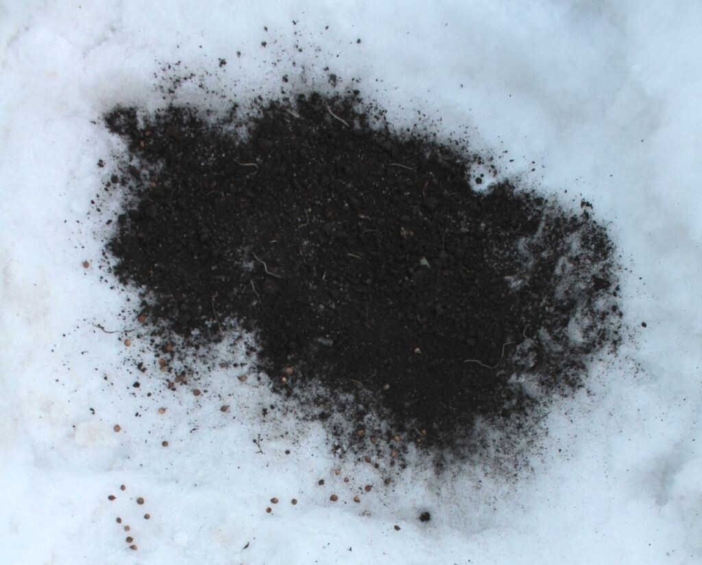 Удобрения на снег: стоит ли рисковать?