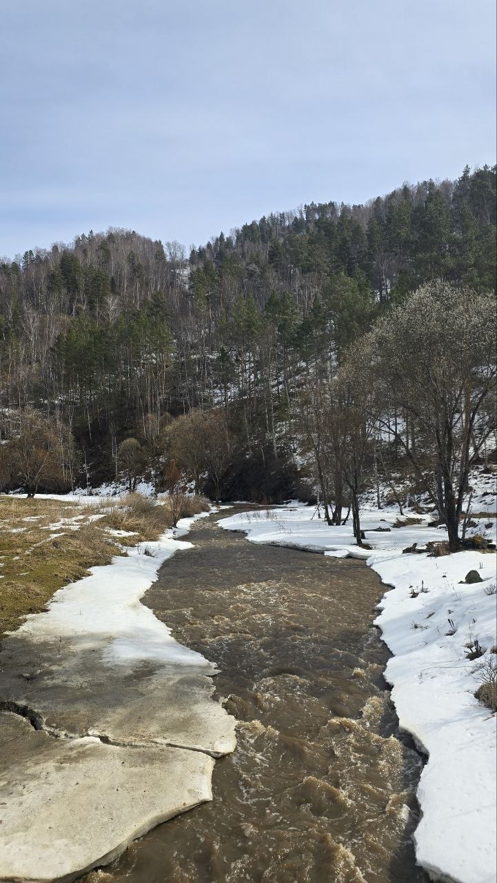 Весна семимильными шагами идёт к нам Весна семимильными шагами идёт к нам