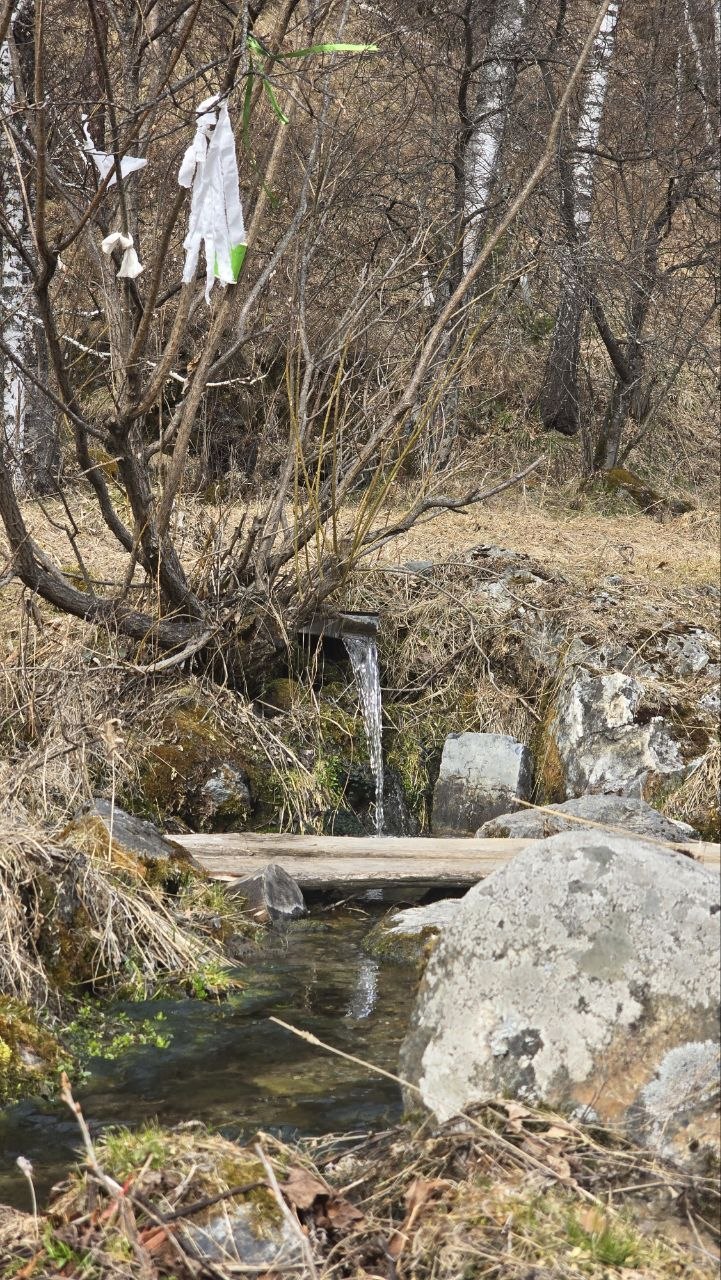 Весна семимильными шагами идёт к нам Весна семимильными шагами идёт к нам