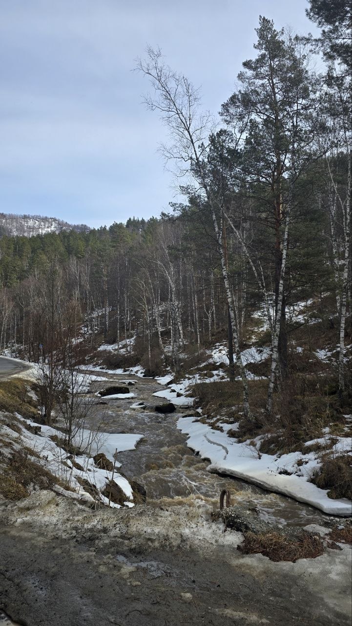 Весна семимильными шагами идёт к нам Весна семимильными шагами идёт к нам