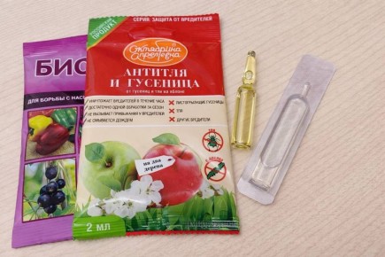 ����������� ������ ��� �����������: ��� ��������� ������� ��������� �� ������