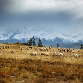 ���������� �����. �� � ���