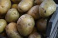 ФАС против вмешательства в цены на картофель: ретейлерам стоит самим решать