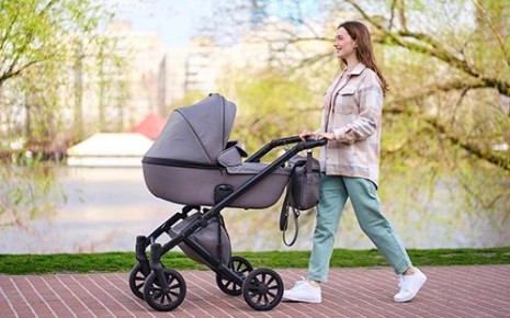 ����� ������������ � ��������� ��������: ��� ��������� ��� ��������� � 2026 ����