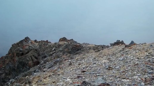 Доброе утро.. Снежный барс на Южно-Чуйском хребте . Видео поделился Сайлюгемский национальный парк