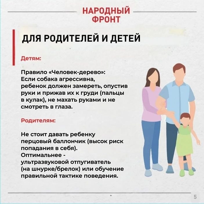 Бродячие собаки в Горно-Алтайске: как защитить себя и близких? Бродячие собаки в Горно-Алтайске: как защитить себя и близких?