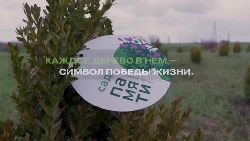 � ��� 2026 ���� ���������� ����� ������������� � ����� ���� ������