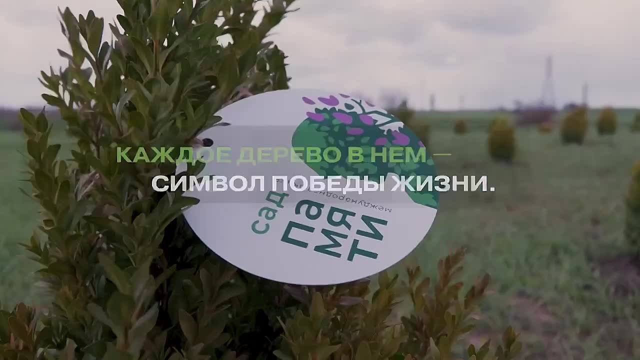 В мае 2026 года Республика Алтай присоединится к акции «Сад памяти»