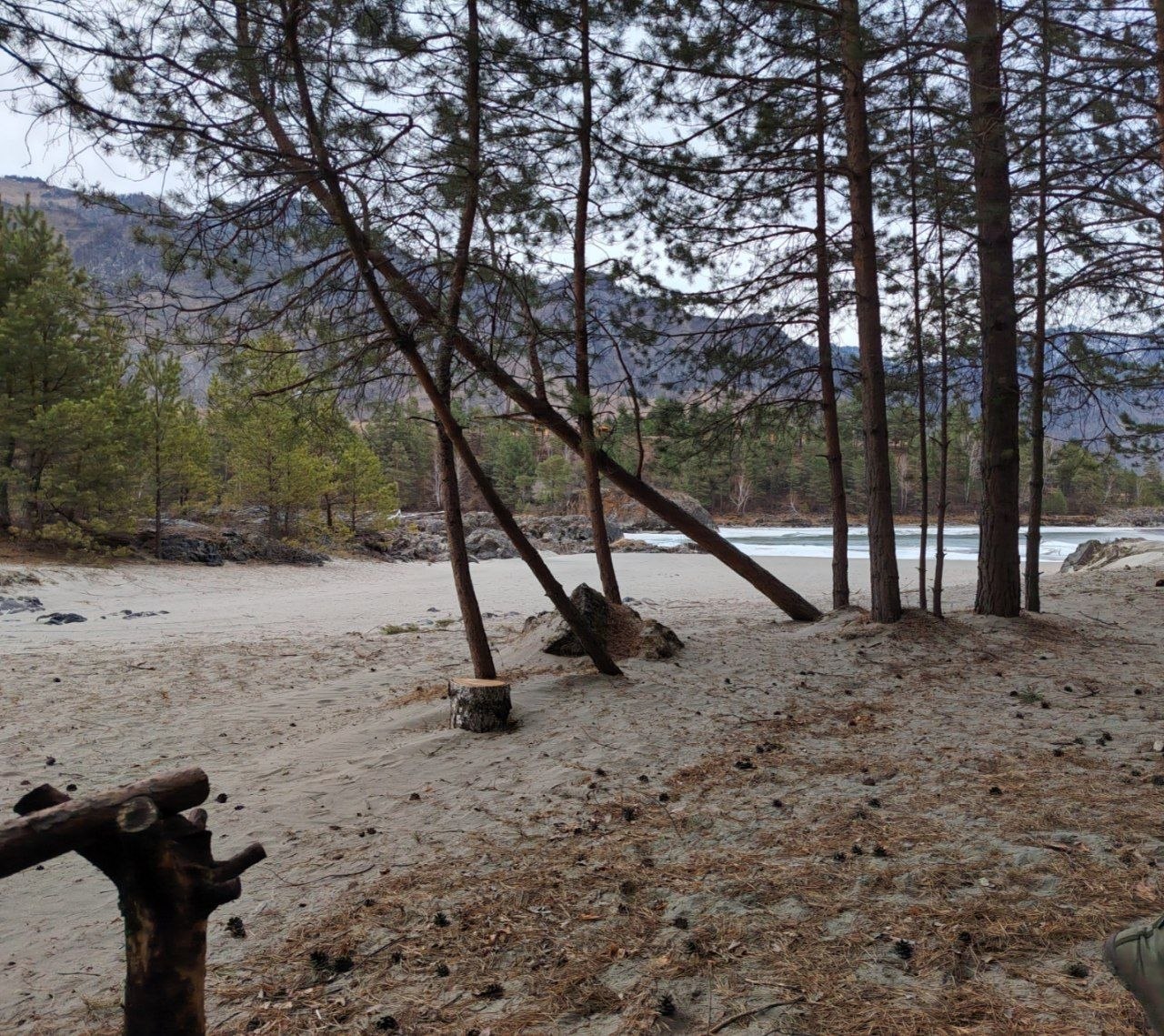 К вопросу о пробуждении медведей К вопросу о пробуждении медведей