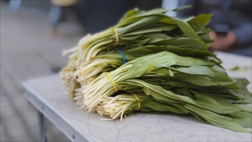 ����� ��� � ������� ���������