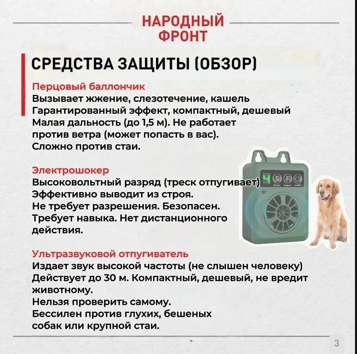 Бродячие собаки в Горно-Алтайске: как защитить себя и близких? Бродячие собаки в Горно-Алтайске: как защитить себя и близких?