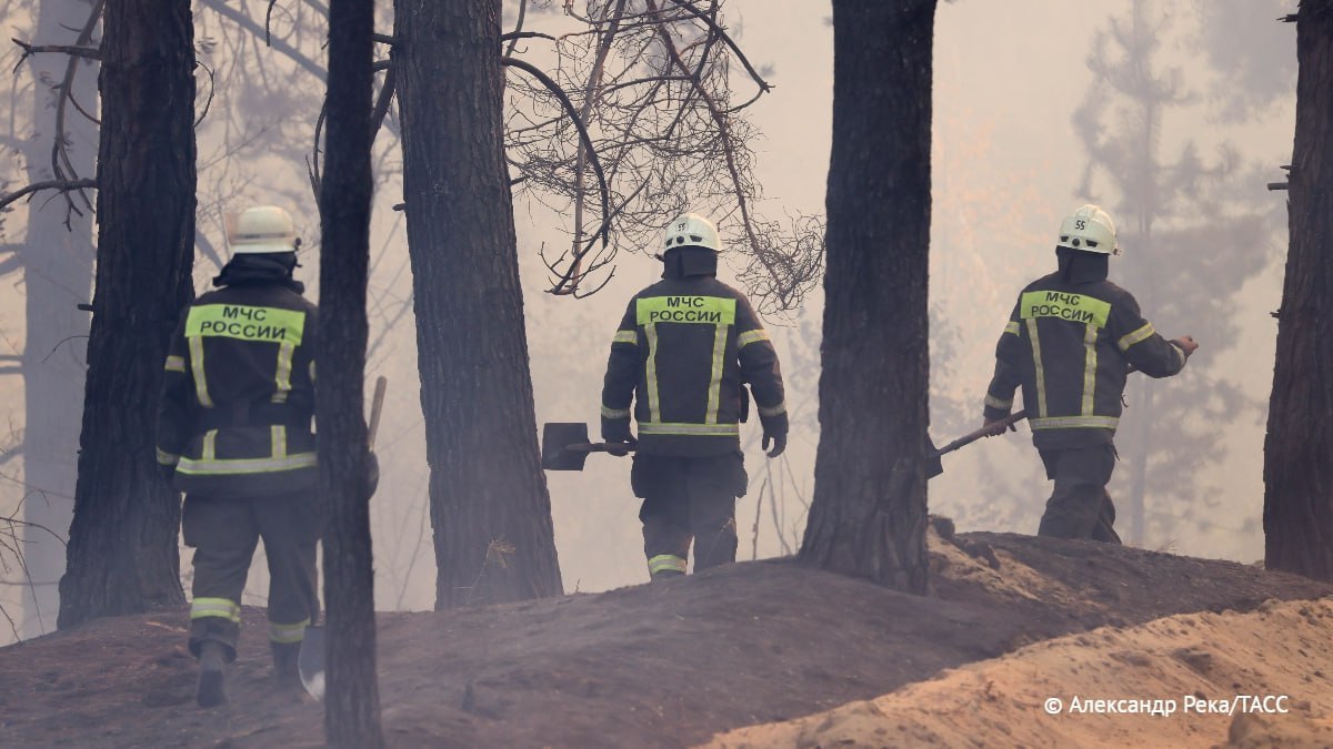 МЧС ожидает осложнения обстановки с ландшафтными пожарами в апреле-мае в четырех регионах Сибири — Хакасии, Алтайском крае, Новосибирской и Омской областях