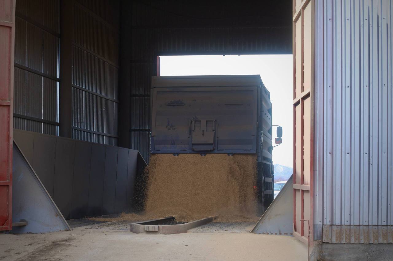 Андрей Турчак: Семеноводческое предприятие Андрея Шадрина в Нижнем Уймоне - одно из лучших хозяйств в Республике Андрей Турчак: Семеноводческое предприятие Андрея Шадрина в Нижнем Уймоне - одно из лучших хозяйств в Республике