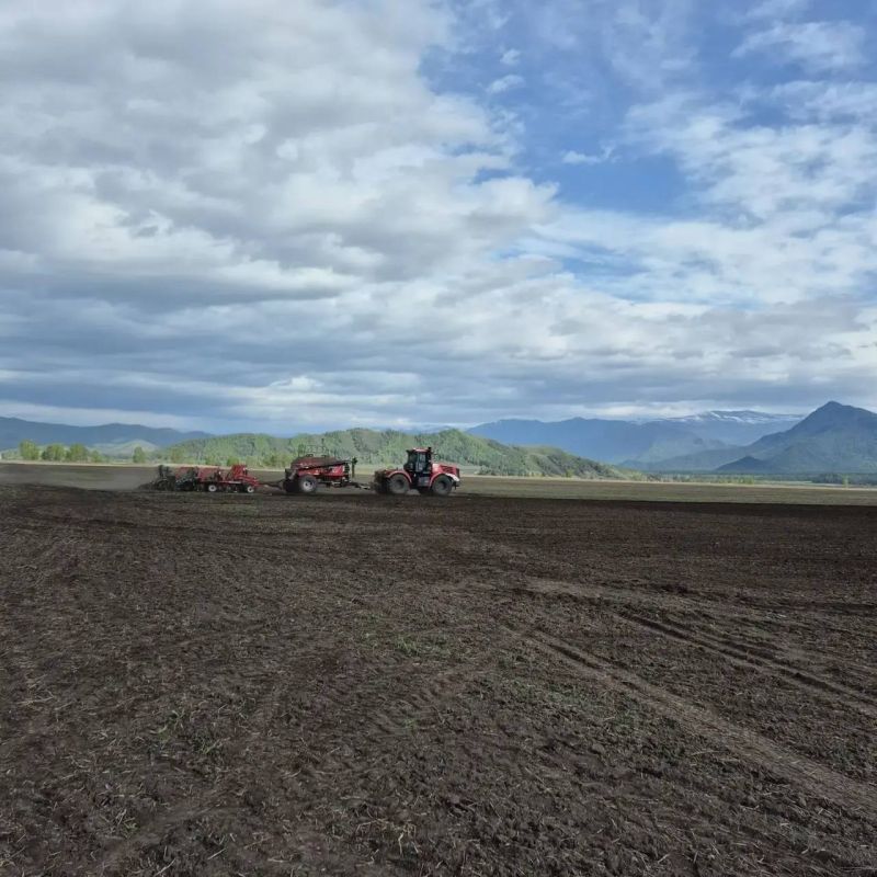 ��������� ���������: ���������� ����� ��������� � �������� ������� �������