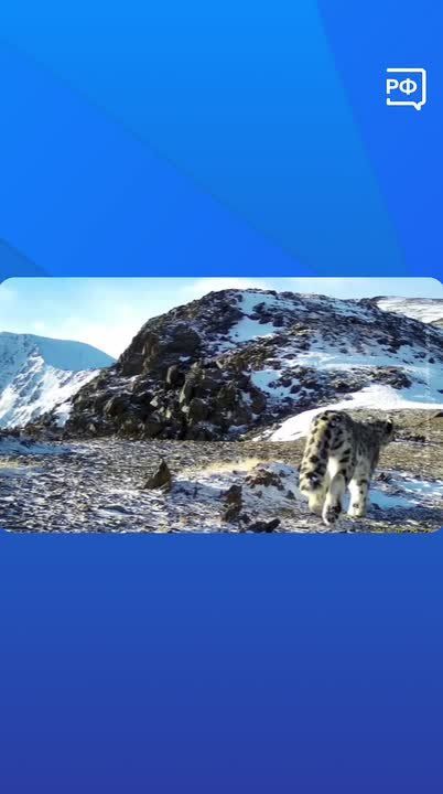 ���� ���� �� �����, ��� ���!