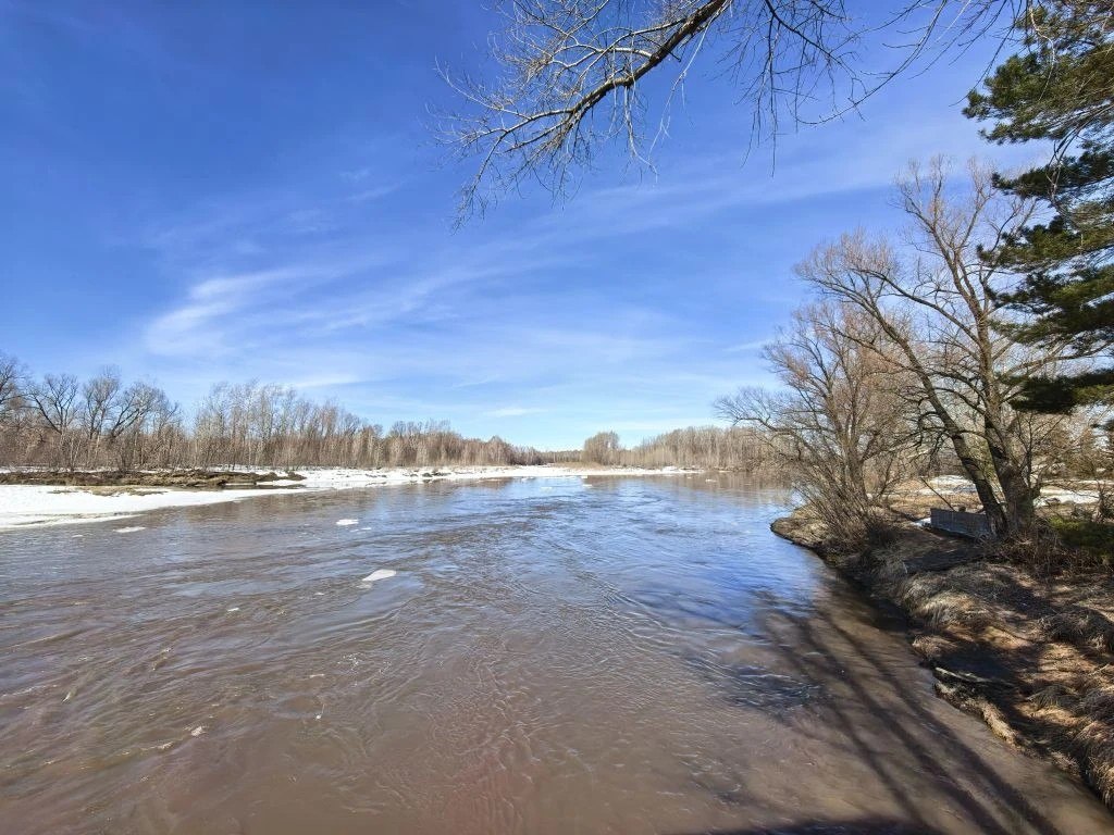 Ещё не зелень, но уже не снег Ещё не зелень, но уже не снег