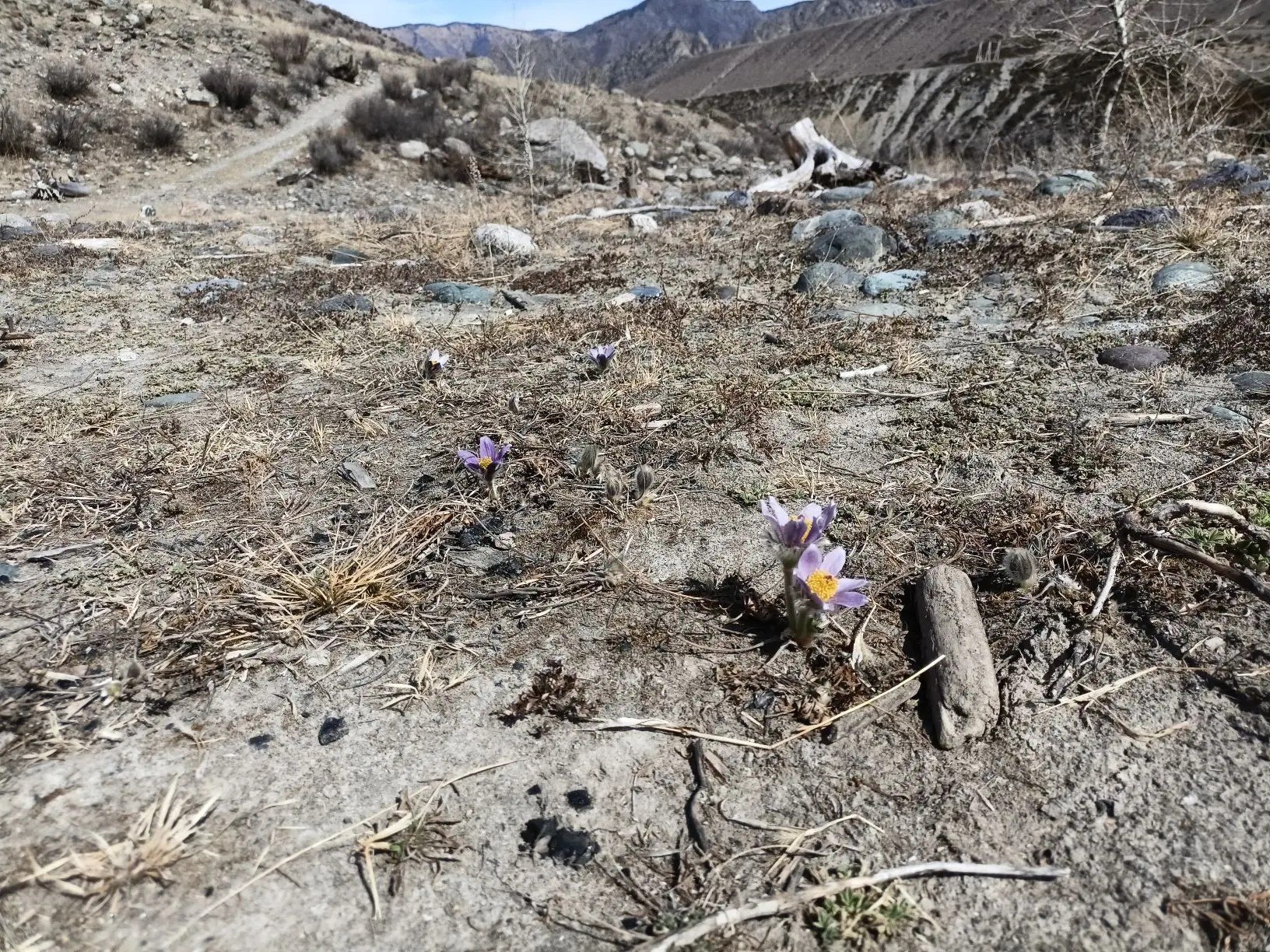 Ещё не зелень, но уже не снег Ещё не зелень, но уже не снег