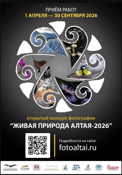 Сезон охоты на красоту открыт!