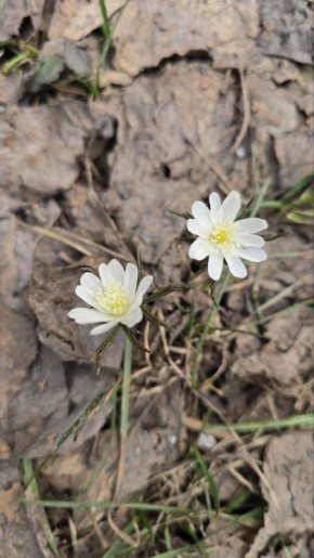 � ��� ����� � ����� �� ������� ���������