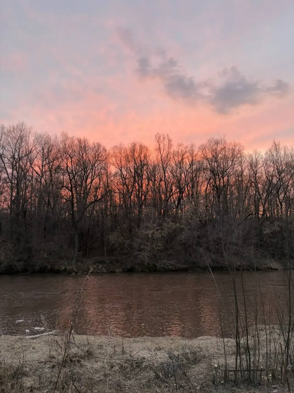 Розовый закат — это весна в своём самом нежном проявлении Розовый закат — это весна в своём самом нежном проявлении