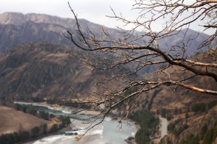 #поэтическоеутро. Мне слова не слова —